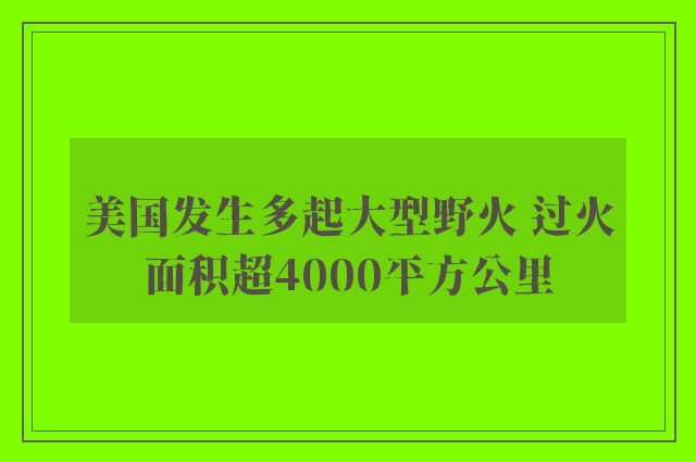 美国发生多起大型野火 过火面积超4000平方公里