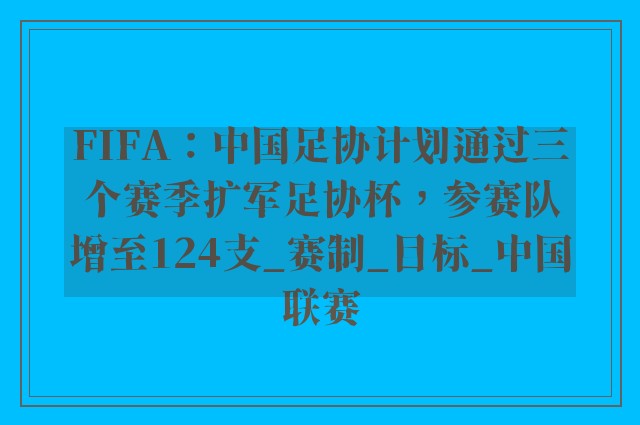 FIFA：中国足协计划通过三个赛季扩军足协杯，参赛队增至124支_赛制_目标_中国联赛