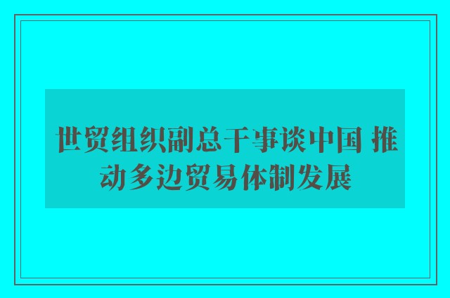 世贸组织副总干事谈中国 推动多边贸易体制发展