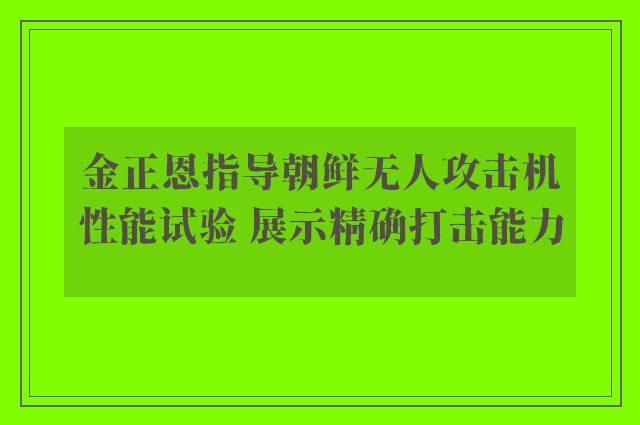 金正恩指导朝鲜无人攻击机性能试验 展示精确打击能力