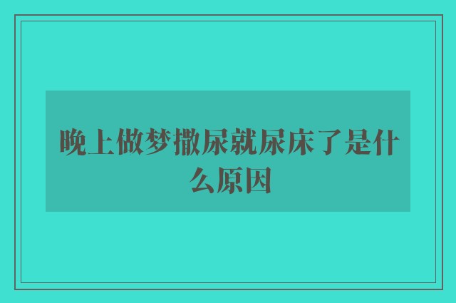 晚上做梦撒尿就尿床了是什么原因