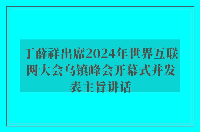 丁薛祥出席2024年世界互联网大会乌镇峰会开幕式并发表主旨讲话