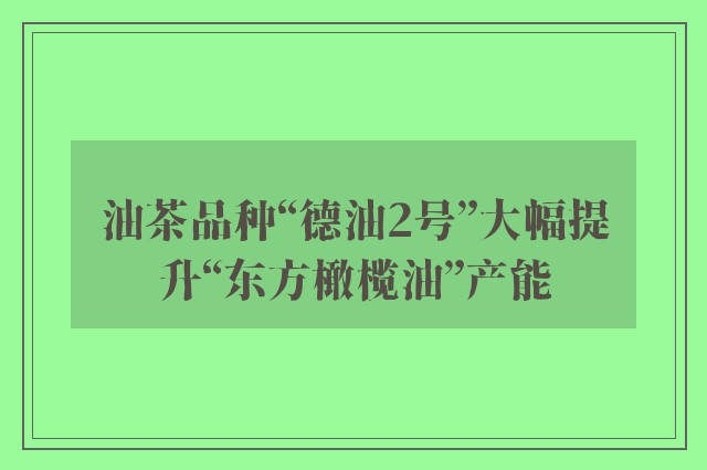 油茶品种“德油2号”大幅提升“东方橄榄油”产能