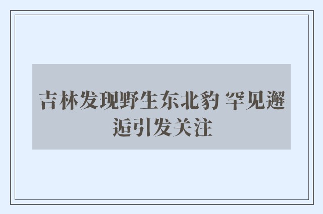 吉林发现野生东北豹 罕见邂逅引发关注