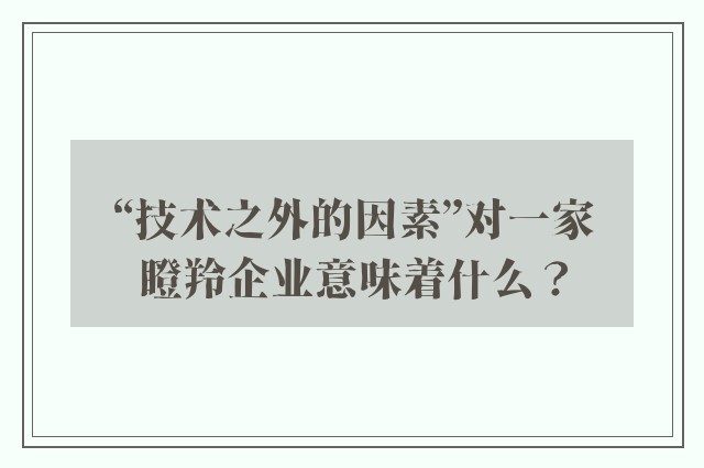 “技术之外的因素”对一家瞪羚企业意味着什么？