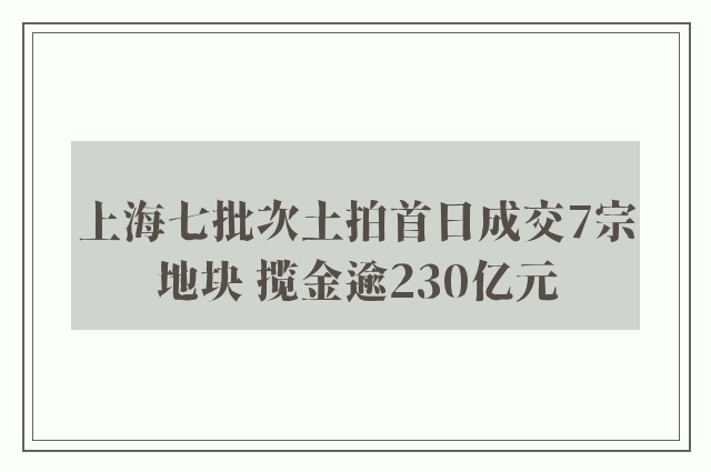 上海七批次土拍首日成交7宗地块 揽金逾230亿元