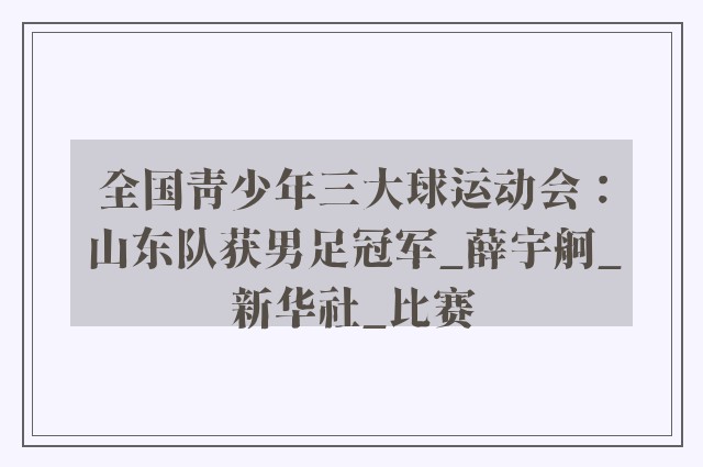 全国青少年三大球运动会：山东队获男足冠军_薛宇舸_新华社_比赛