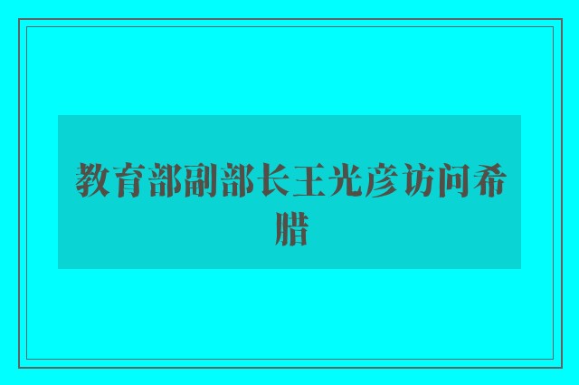 教育部副部长王光彦访问希腊