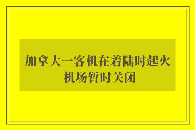 加拿大一客机在着陆时起火 机场暂时关闭