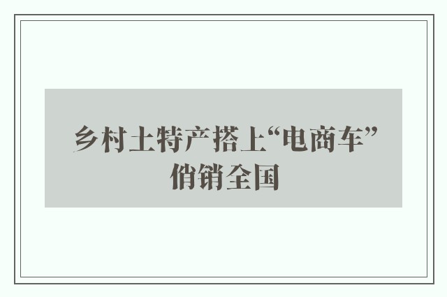 乡村土特产搭上“电商车”俏销全国