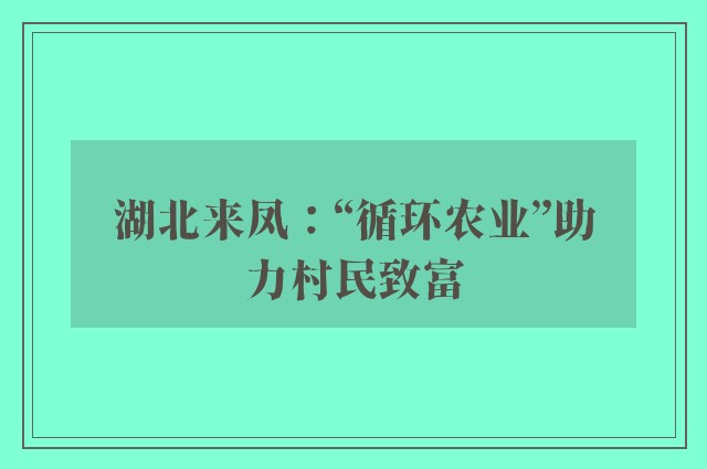 湖北来凤：“循环农业”助力村民致富